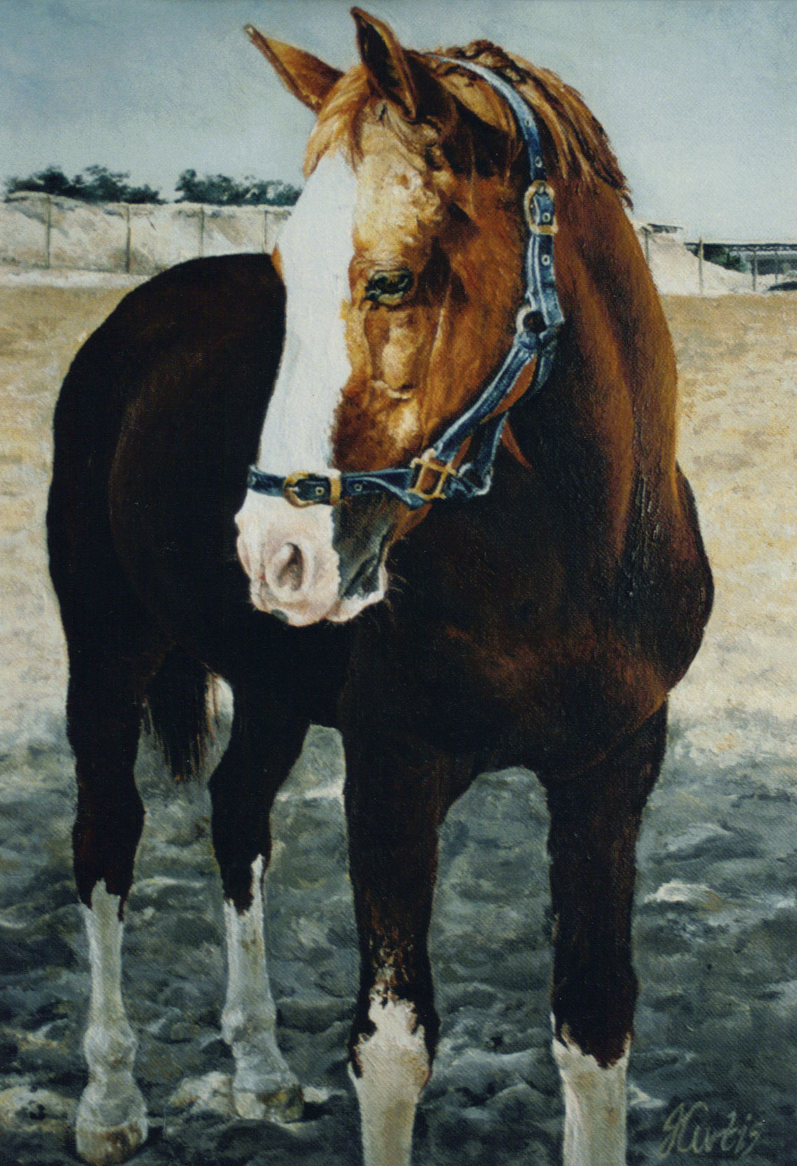 horse painting
