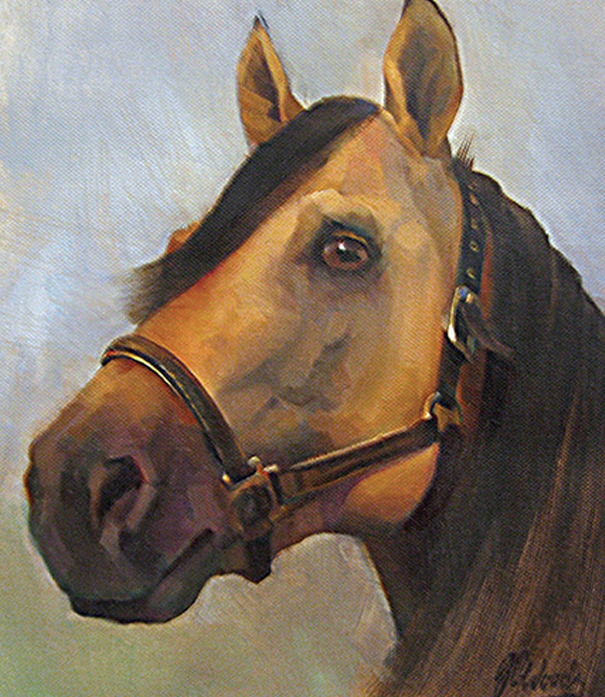 paintings