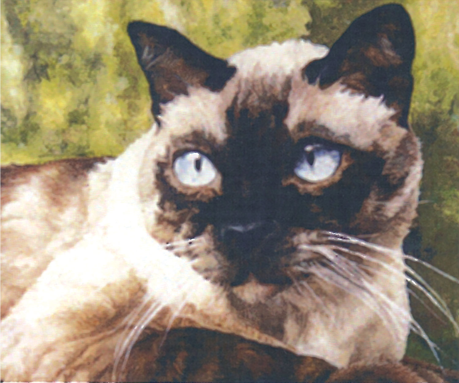 cat painting