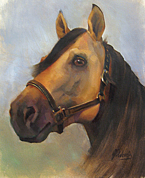 horse portrait
